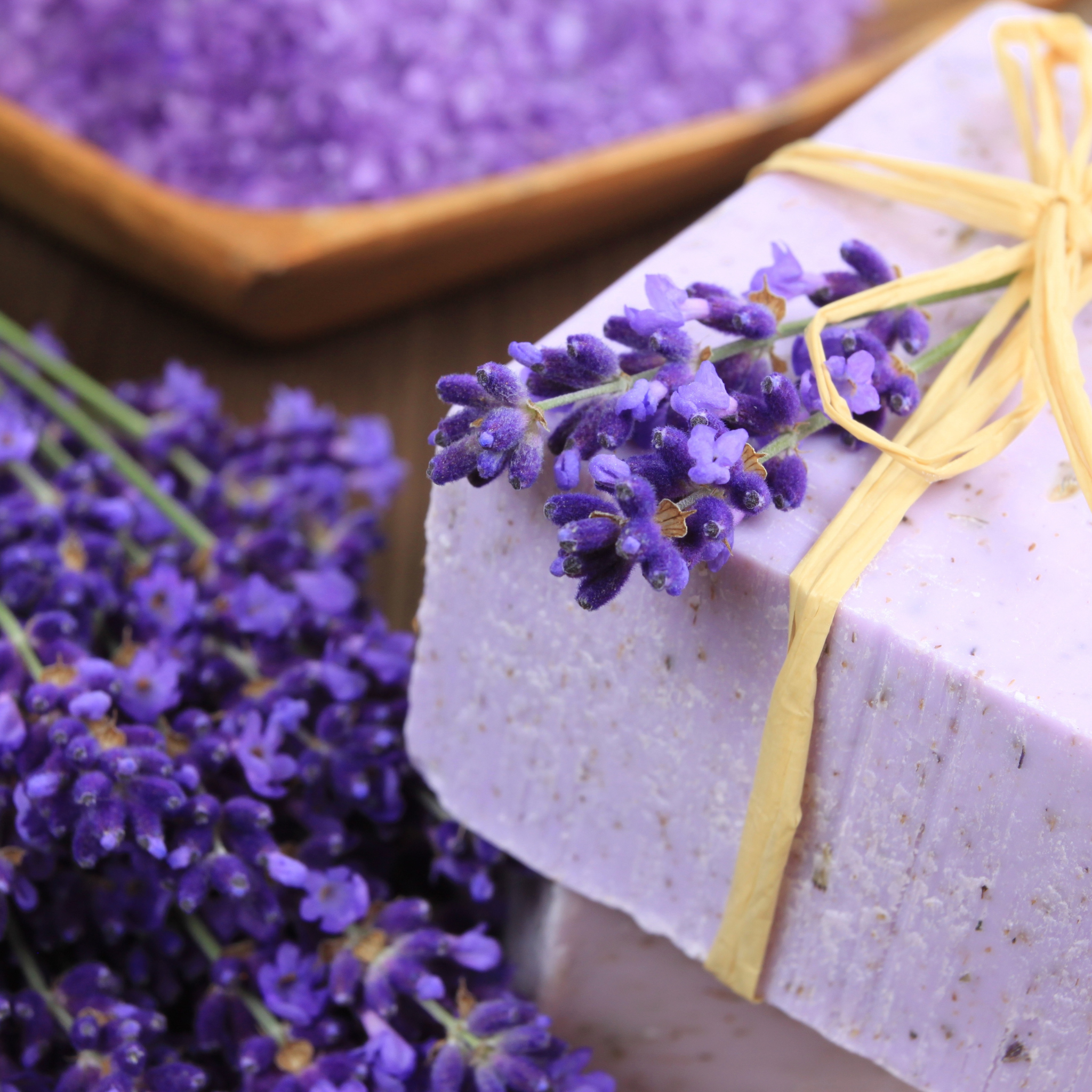 PEMF and Red Light Therapy monthly membership in Las Vegas offering 4 sessions per month and priority booking